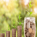 Blue House Solutions LLC.