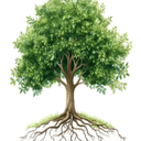 Licensed Life & Health Insurance Agent