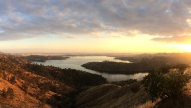 Top Fresno Real Estate Agents on Instagram