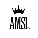 AMSI Real Estate Services