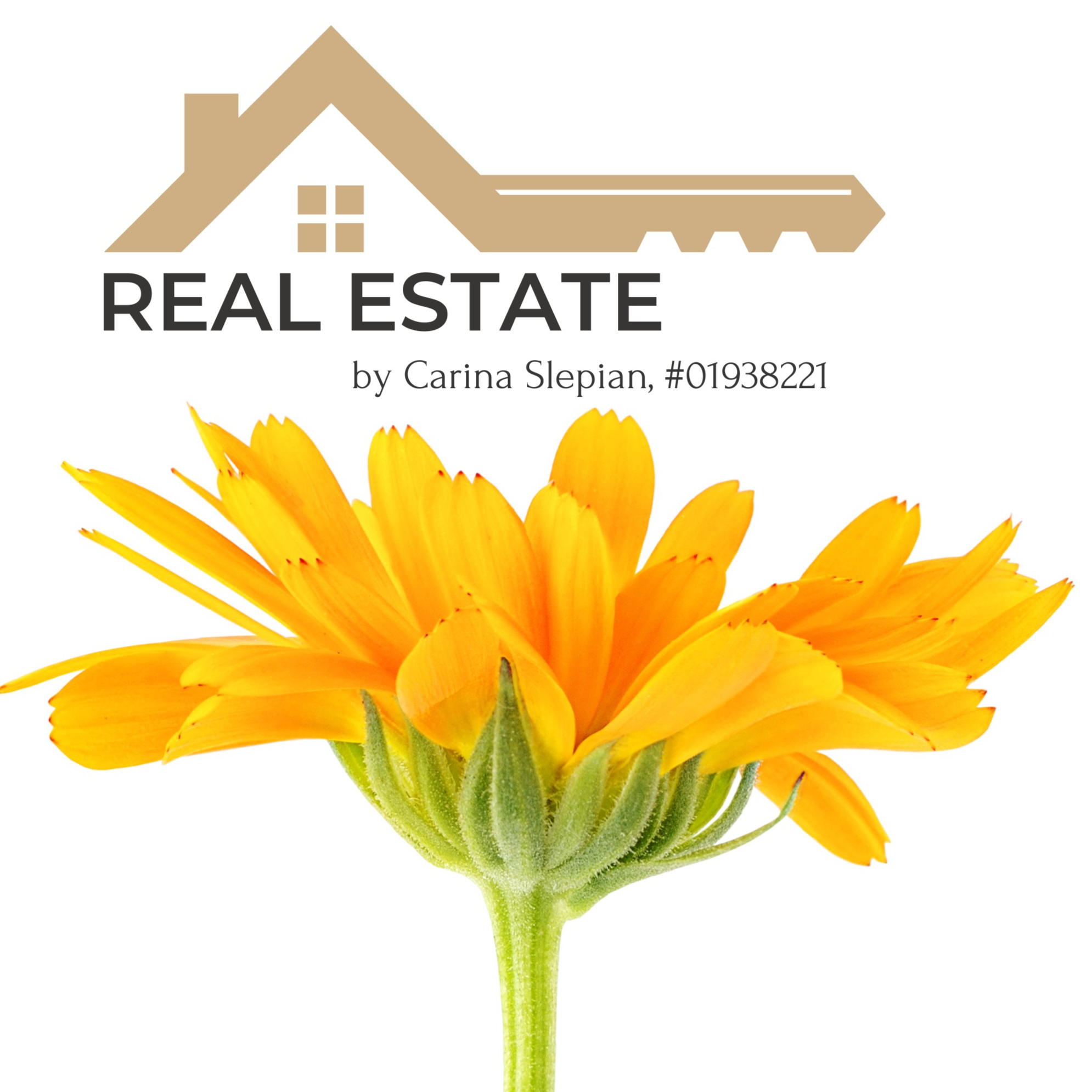 realty logo